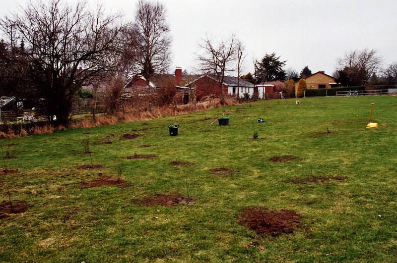 27.Maerz 2010,0052.jpg